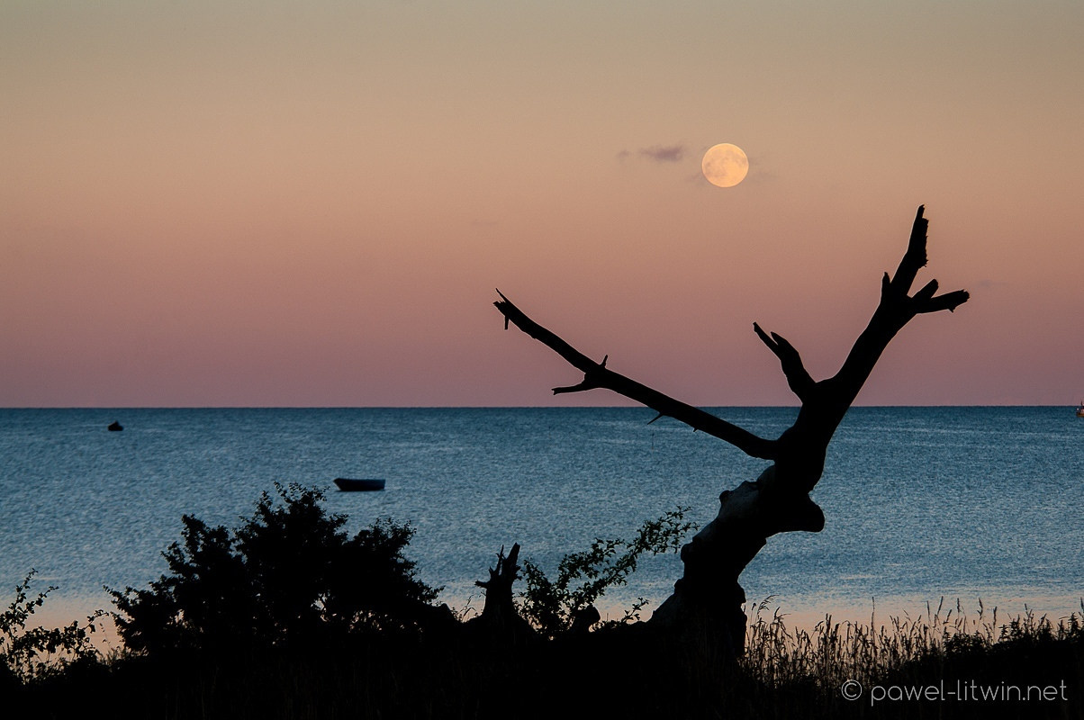 Księżyc nad Zatoką Pucką, fotograf Paweł Litwin
